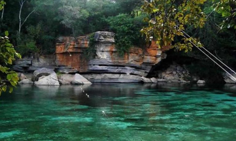 Fazenda Pratinha um paraíso de águas cristalinas na Chapada Diamantina